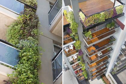 Edificio S1006 Curvan I. Se utilizaron especies de media sombra para la parte inferior, como Plectranthus vehrii, Plectranthus coleoides ‘Marginatus’, Tradescantia sp. y Callisia sp.. Para la zona de mayor asoleamiento: crásulas y crisantemos, bulbines, kalanchoes varios y Aptenia cordifolia.