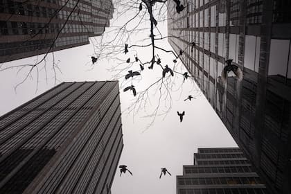 Edificios de Nueva York