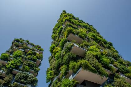 Edificios ecológicos en Milán con jardines en cada terraza que los convierten en un pulmón verde vertical