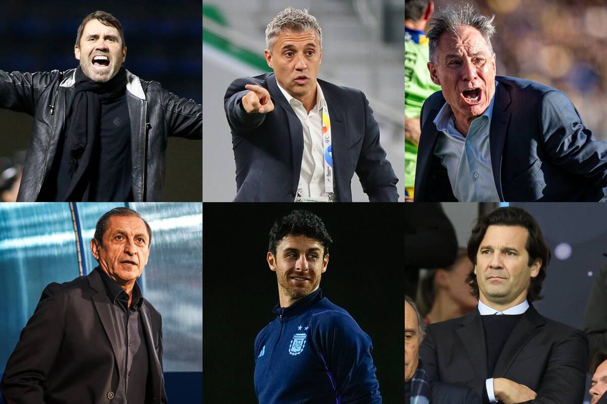 Eduardo Coudet, Hernán Crespo, Ariel Holan, Ramón Díaz, Pablo Aimar y Santiago Solari, los seis nombres que suenan para reemplazar a Marcelo Gallardo en River