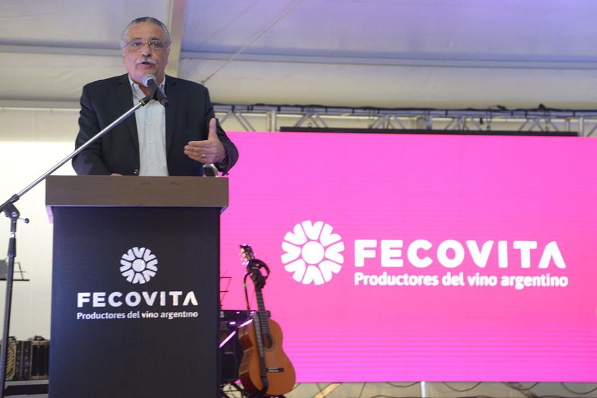 Eduardo Sancho, presidente de Fecovita