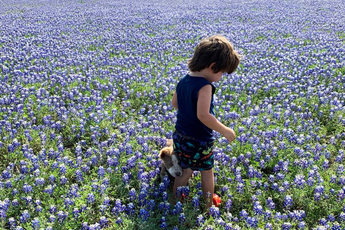 "Educar, aprender, nutrirse, es mucho más que ir al mejor colegio o universidad, es, para nosotros, enseñarles a nuestros hijos a ser buenas personas, a vivir de manera consciente, presente, empática, en contacto con la naturaleza, con lo simple..."