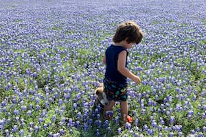 "Educar, aprender, nutrirse, es mucho más que ir al mejor colegio o universidad, es, para nosotros, enseñarles a nuestros hijos a ser buenas personas, a vivir de manera consciente, presente, empática, en contacto con la naturaleza, con lo simple..."