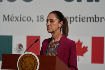EE.UU. fortalecerá operaciones de control para evitar entrada ilegal de armas a México, dice Sheinba
