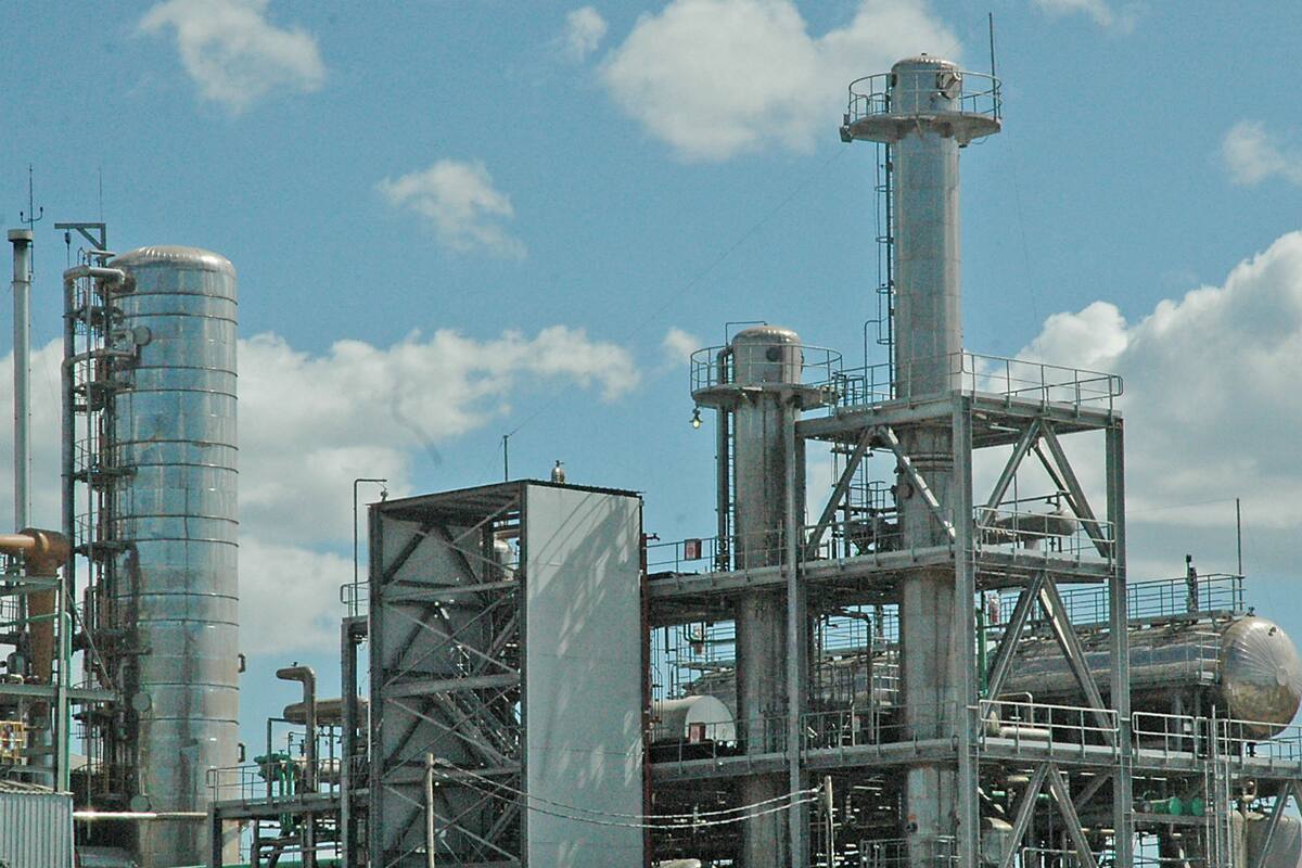 EE.UU. fue el principal mercado hasta las sanciones que impuso al producto local