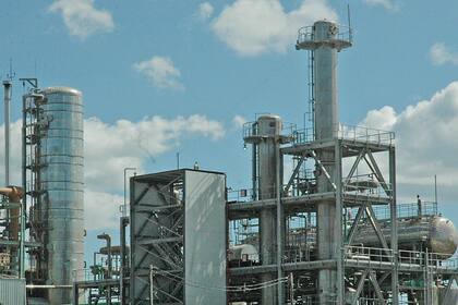 EE.UU. fue el principal mercado hasta las sanciones que impuso al producto local