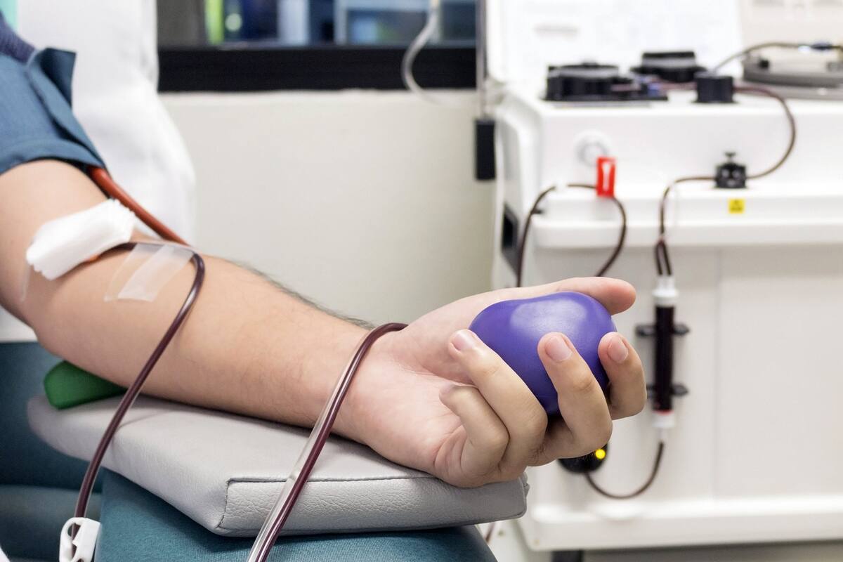 EE.UU.: por ahora no aprueban el tratamiento con plasma para el Covid-19