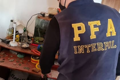 Efectivos de Interpol incautaron piezas arqueológicas antiguas obtenidas mediante excavaciones ilegales en Córdoba