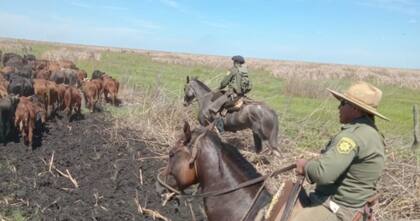 Efectivos de la guardia rural Los Pumas, durante un operativo en el norte de Santa Fe
