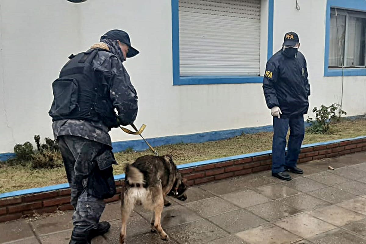 Efectivos de la Policía Federal Argentina (PFA), bomberos de Punta Alta y un adiestrador canino aportado por la querella realizaron hoy con perros entrenados una inspección en la subcomisaría de Mayor Buratovich, en el partido bonaerense de Villarino, en busca de rastros de Facundo Astudillo Castro,