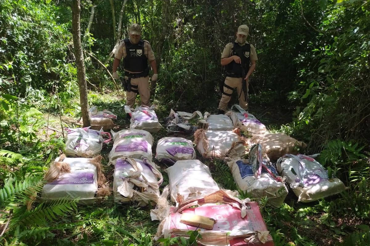 Efectivos de Prefectura incautaron 416 kilos de marihuana en el monte misionero