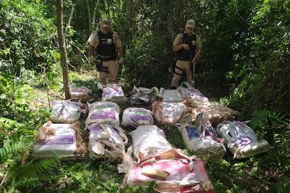 Efectivos de Prefectura incautaron 416 kilos de marihuana en el monte misionero