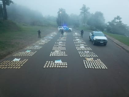 Efectivos de Prefectura incautaron dos toneladas de marihuana en procedimientos realizados en Misiones y Corrientes