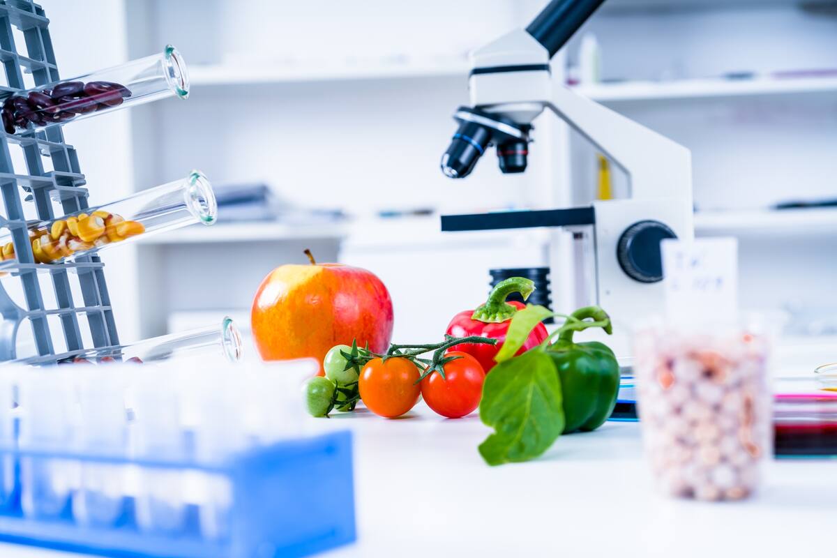 Einsted usa campos eléctricos pulsados para tratar los alimentos sin recurrir a la cocción por calor