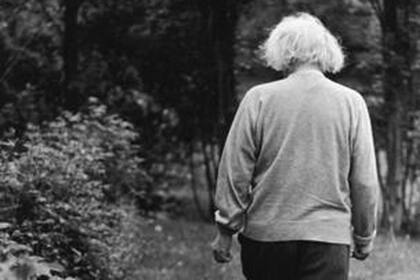 Einstein disfrutaba caminar para despejar su mente.