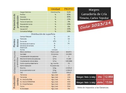 Ejemplo del margen neto de un productor chico de Carlos Tejedor