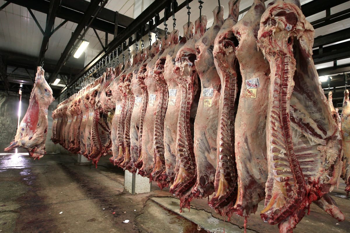 El 10 de este mes China planea retomar la actividad comercial luego de celebrar el año nuevo lunar, pero la importación de carnes en ese país podría verse afectada si los empleados y funcionarios entran en cuarentena