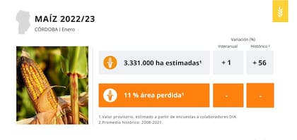 El 11% de las 3,3 millones de ha de siembra están perdidas