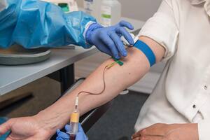 El 14 de junio se conmemora el Día Mundial del Donante de Sangre (Foto: Pixabay)