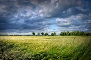El 15 de junio se celebra el Día Global del Viento (Foto: Pixabay)