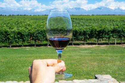 El 17 de abril es el Día del Malbec y no somos los únicos que le prestan atención