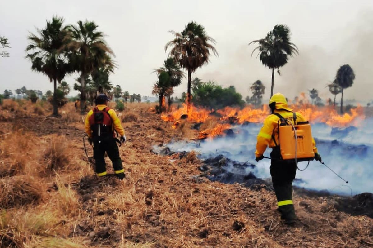 El 2 de junio de 1884, se creó la Sociedad italiana de bomberos voluntarios de La Boca; desde ese día, y en la actualidad, todos ellos se encargan de resguardar la vida de las peronas y de prevenir incendios