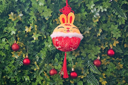 El 2023 es el año del Conejo de Agua