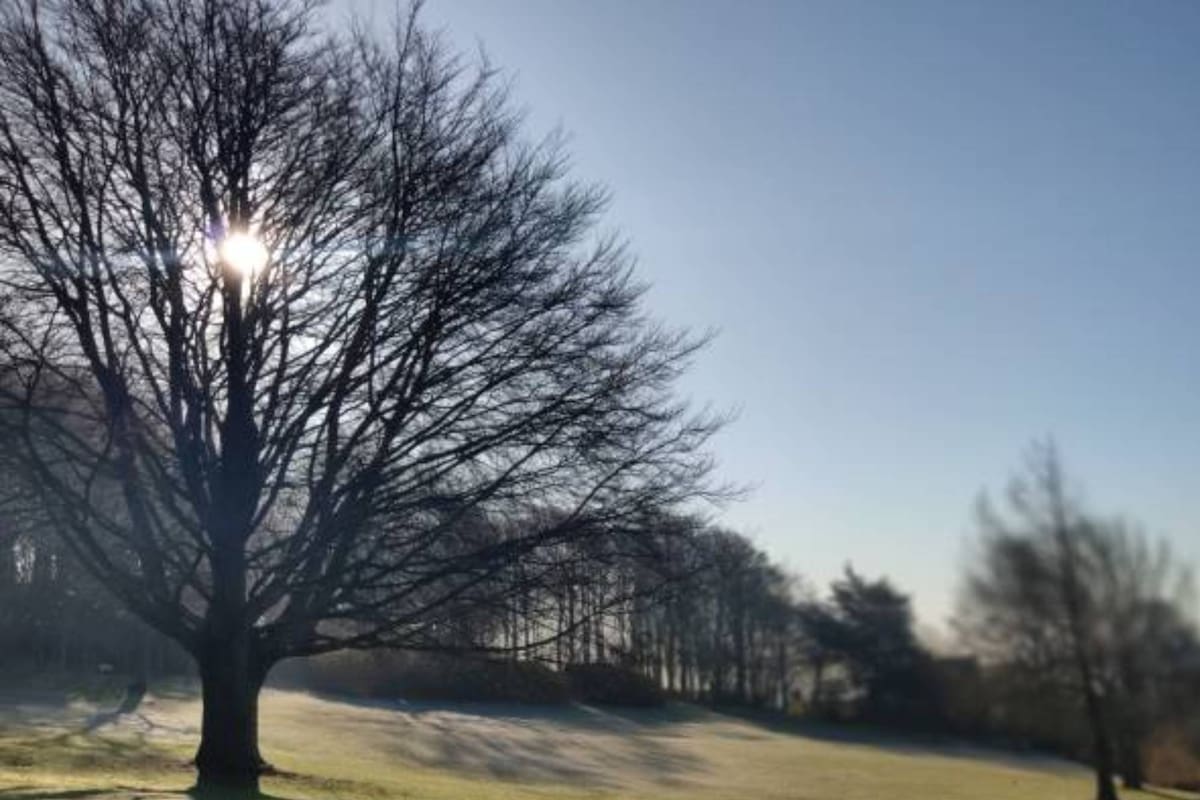 El 21 de junio se llevará a cabo el solsticio (Foto Pexels)