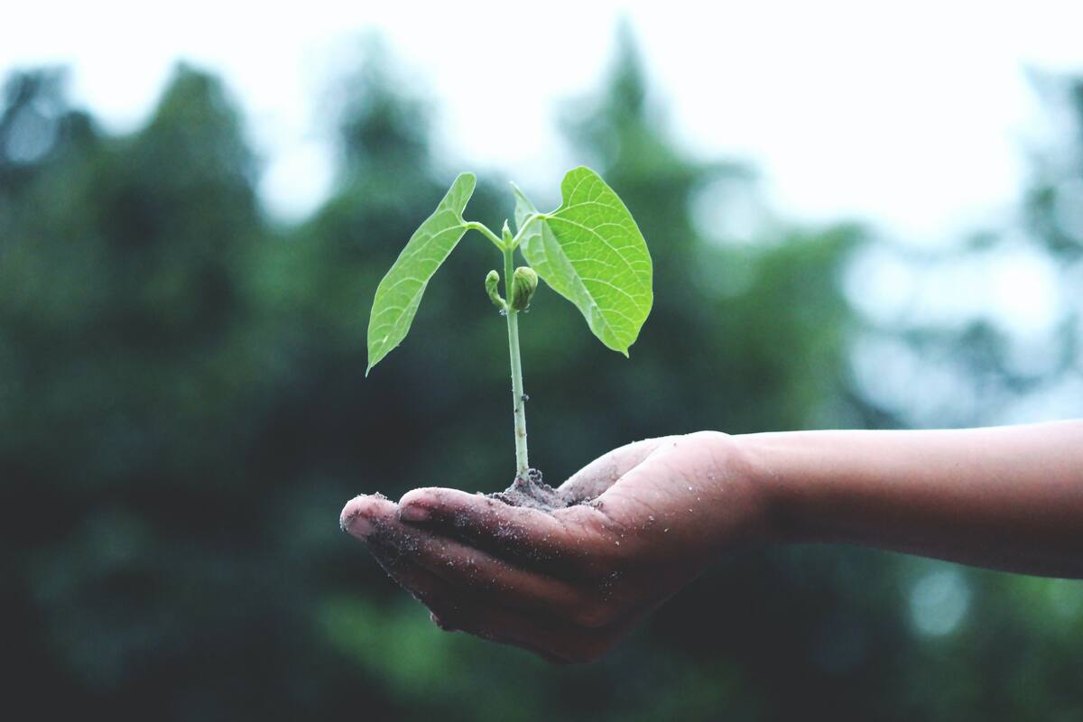 El 22 de abril es el Día de la Tierra, una jornada para concientizar acerca de la importancia de cuidar nuestro medio ambiente. Beneficios de Club a tono con un planeta más amigable.