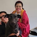 La historia de Sakura: la encontraron con sus cachorros en una plaza de Almagro y su vida dio un giro conmovedor