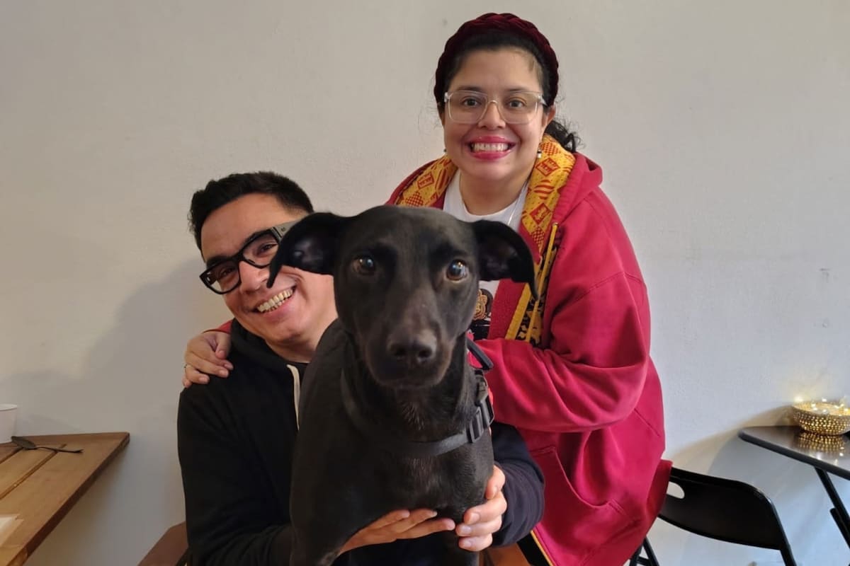 El 23 de septiembre se conmemora el Día Mundial del Perro Adoptado/Rescatado