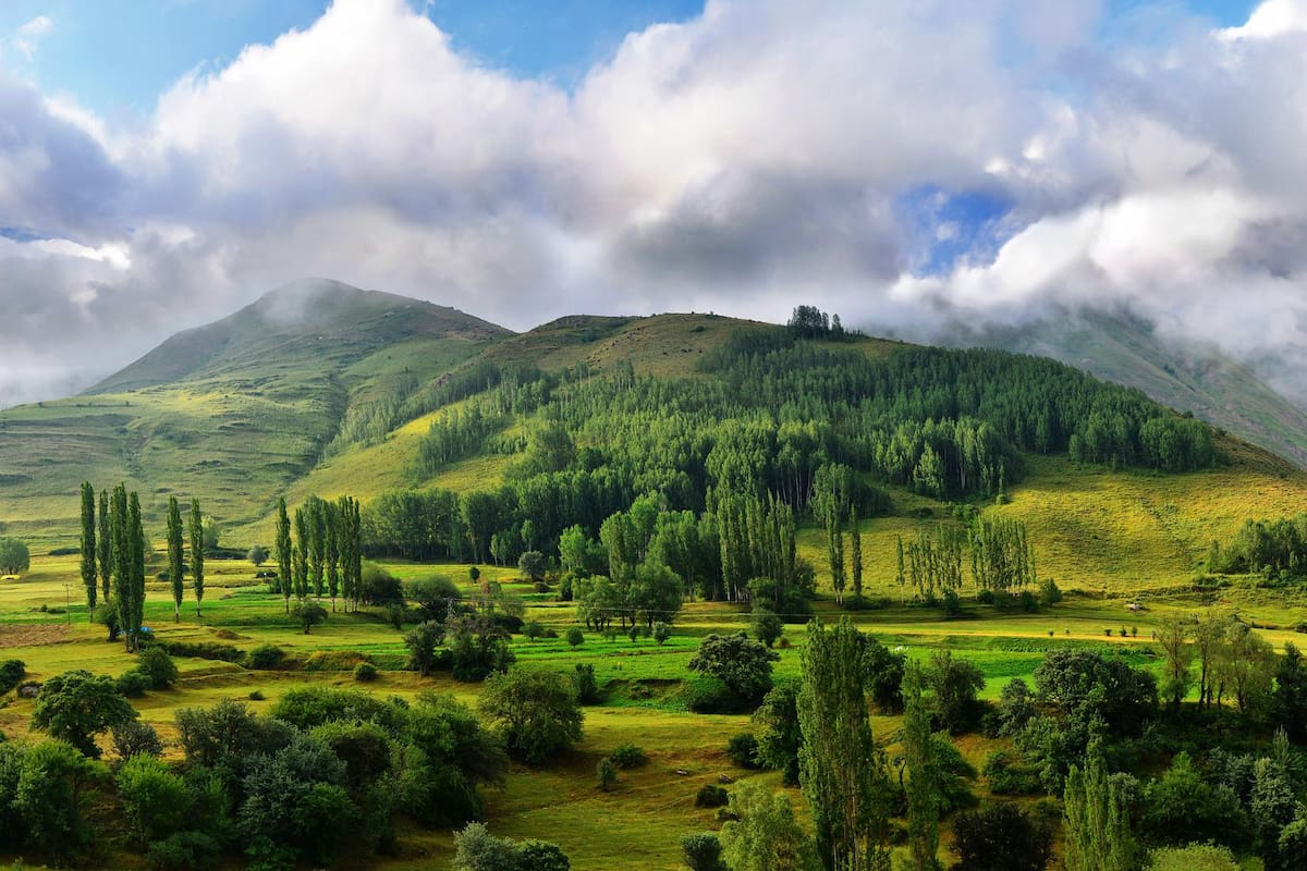 El 4 de junio se celebra el Día Mundial del Medio Ambiente (Foto: Pixabay)