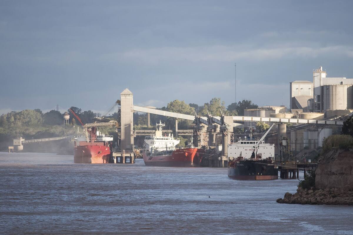 El 44% de las exportaciones el complejo soja tienen como destino el mercado asiático