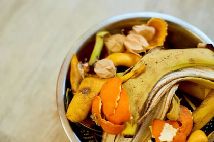 El 50% de los residuos domésticos son orgánicos