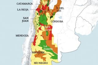 La desertificación daña 650.000 hectáreas en la Argentina todos los años