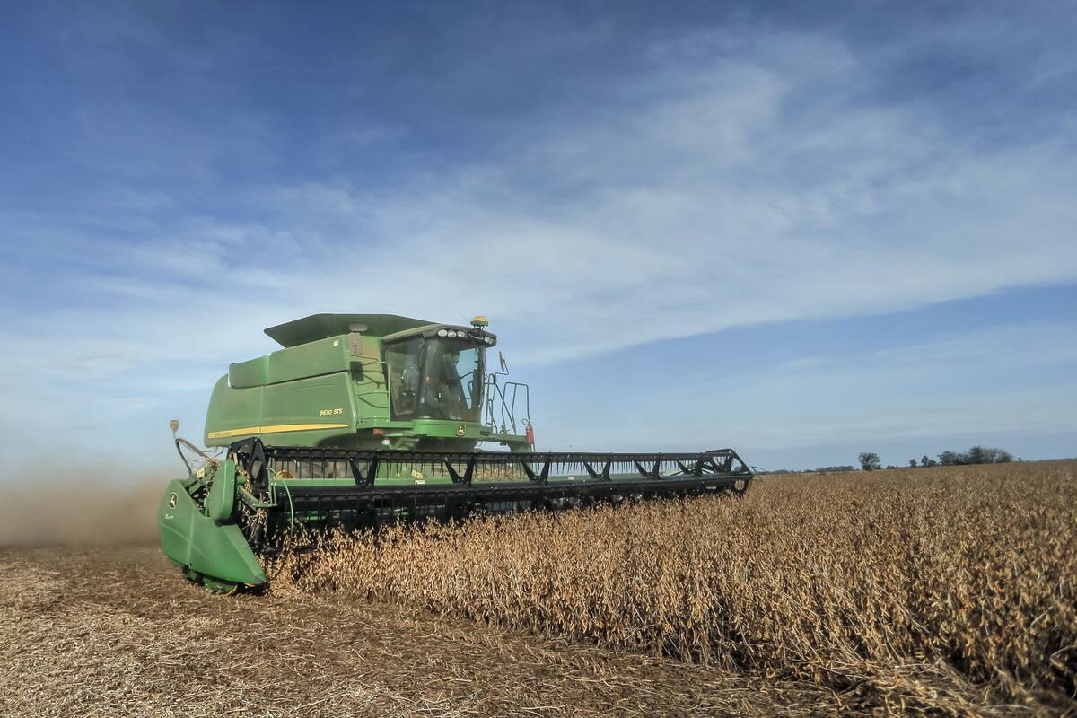 El 70% de las exportaciones argentinas a China están relacionadas con la soja y sus derivados