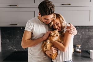 El 8 de agosto es el Día del Gato en todo el mundo