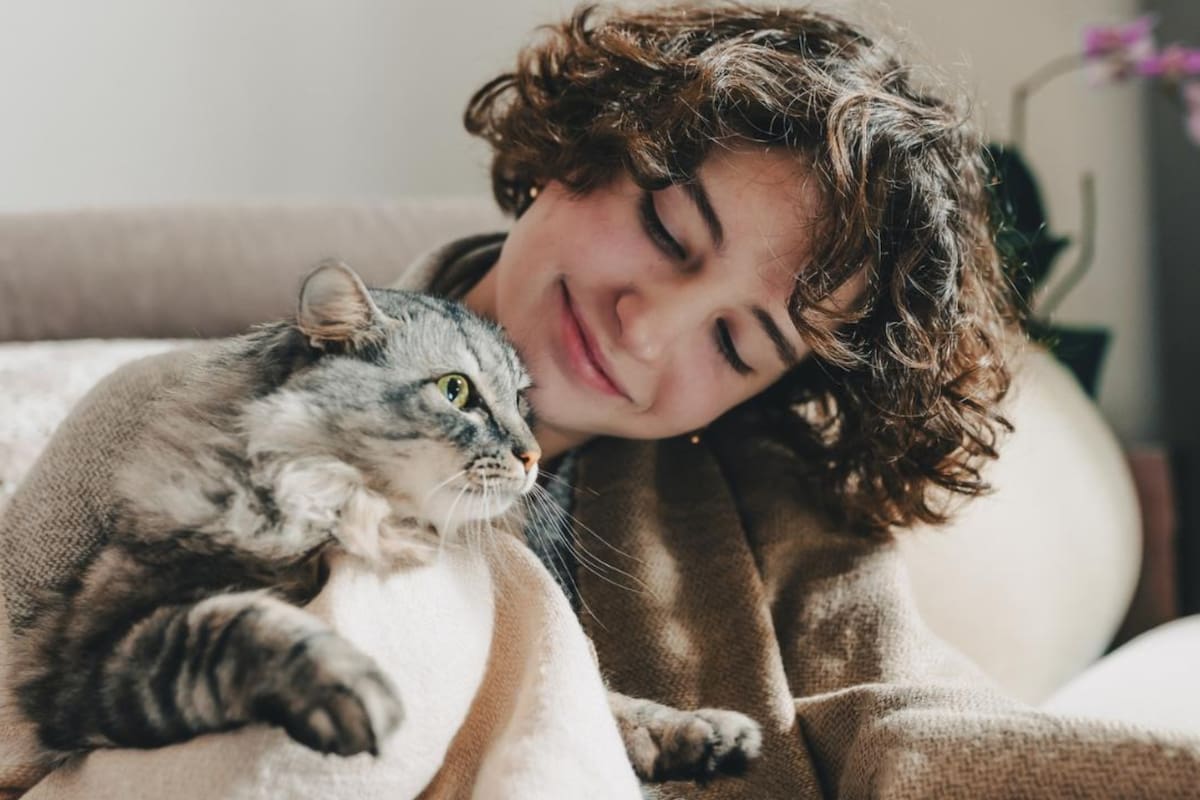 El 8 de agosto es una de las tres fechas en que se celebra el Día del Gato