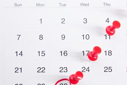 El 8 de julio no es feriado en la Argentina: las razones
Foto: Unsplash