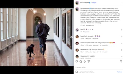 El 8 de mayo de 2021, Obama despidió a Bo su perro de agua portugés fallecido a los 12 años como concencuencia de un cáncer (Foto: Instagram @barackobama)