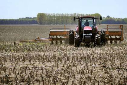 El 80% de la campaña se hace con financiamiento de terceros
