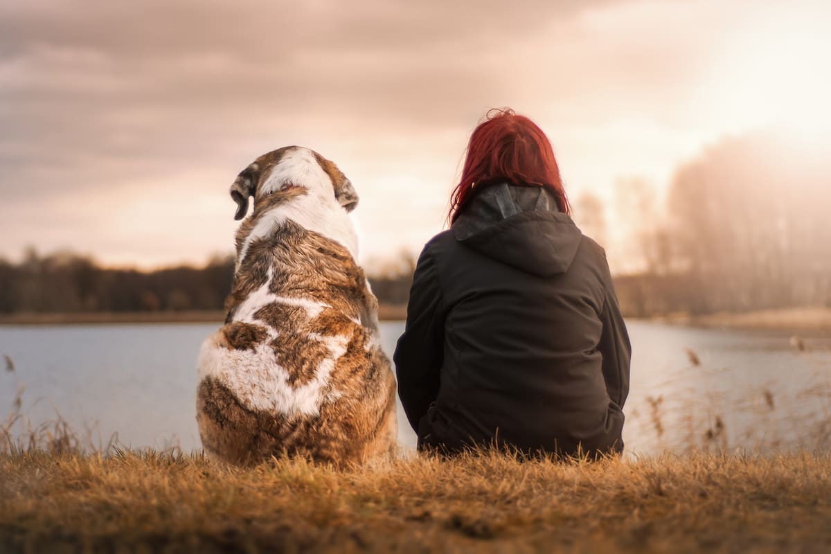 El 80% de los argentinos habla con su mascota
