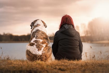 El 80% de los argentinos habla con su mascota
