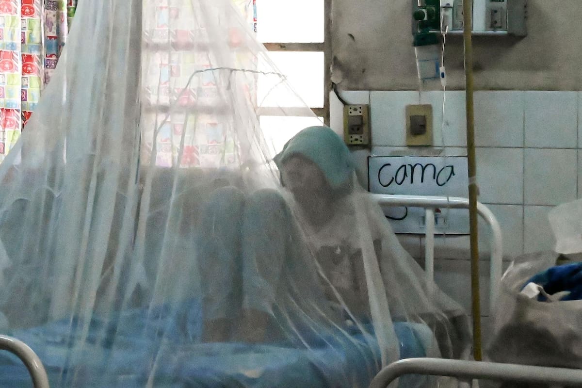 El 80% de Paraguay está afectado, Brasil declaró emergencia y Bolivia confirmó más de 200 casos