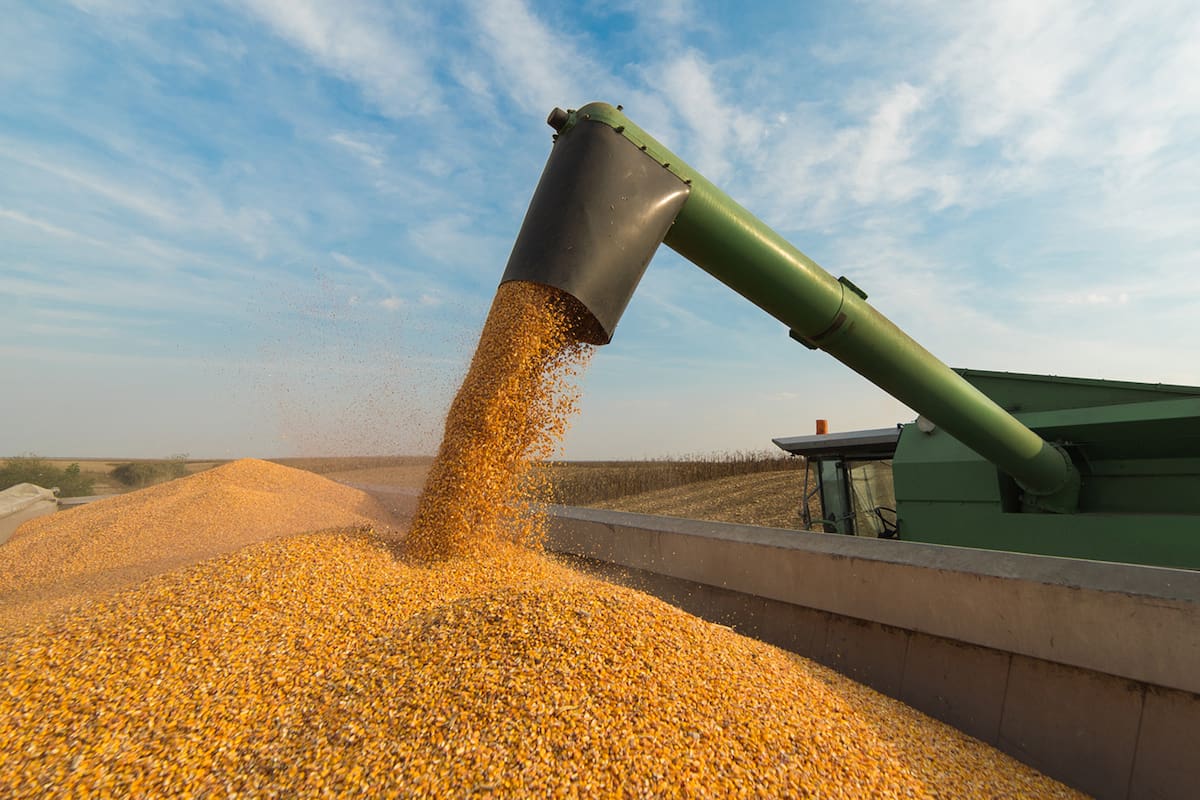 El 80% del parque de cosechadoras en la Argentina tiene más de 10 años de antigüedad