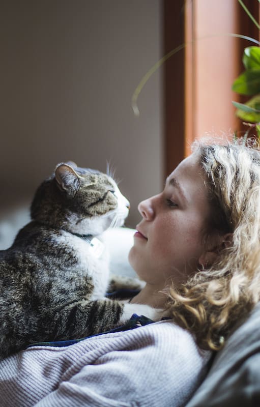 El 86% de los hogares argentinos tiene una mascota; de ese porcentaje, el 52 % son gatos. Lo que implica que 11,9 millones de familias tienen mininos en casa, mientras que 9,5 millones eligen perros
