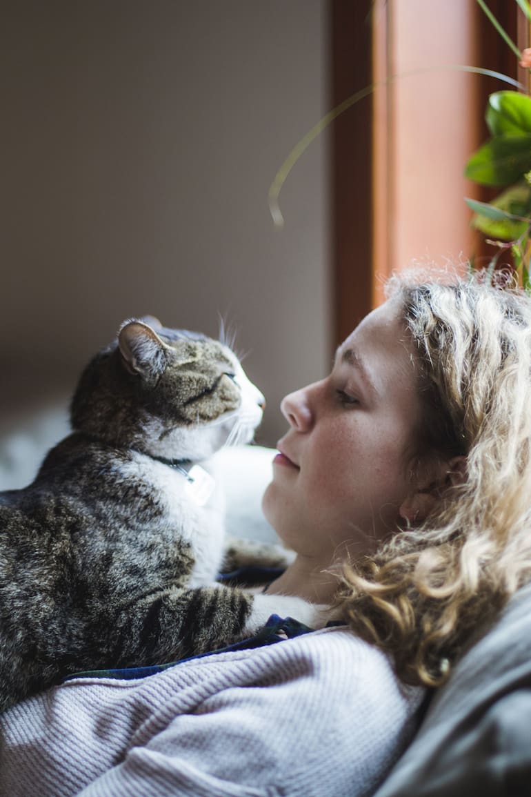 El 86% de los hogares argentinos tiene una mascota; de ese porcentaje, el 52 % son gatos. Lo que implica que 11,9 millones de familias tienen mininos en casa, mientras que 9,5 millones eligen perros