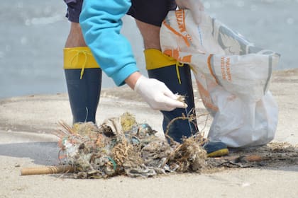 El 86% de los residuos encontrados fueron plásticos según un censo y limpieza de playas en el Partido de la Costa