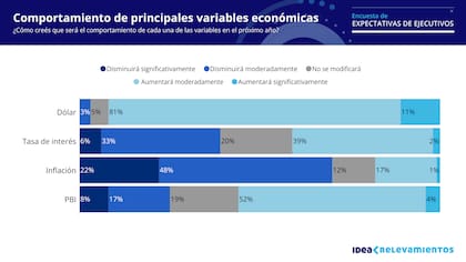 El 92% de los directores de IDEA consultados espera que el dólar aumente moderadamente (81%) o significativamente (11%)