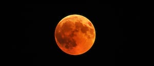 Se aproxima el Eclipse Lunar 2026, en el que la noche tendrá “Luna de Sangre” en varios países